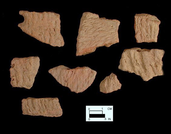 Accokeek cord-marked sherds from Nassawango site 18WO23/6L.